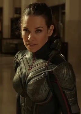 Wasp